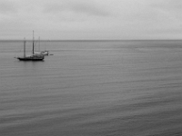 12125RoCrLeBwShRe - Touring Tadoussac   Each New Day A Miracle  [  Understanding the Bible   |   Poetry   |   Story  ]- by Pete Rhebergen